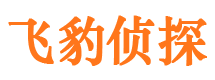 沈阳捉小三公司